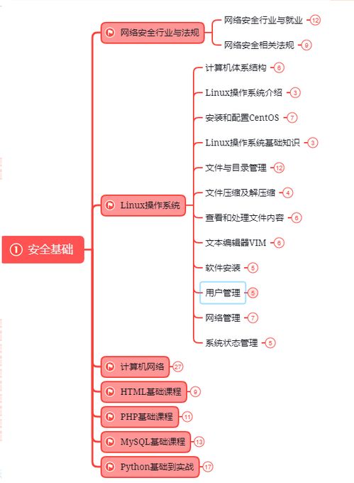 年薪百萬的網(wǎng)絡(luò)信息安全工程師 守護(hù)數(shù)字世界的神秘衛(wèi)士